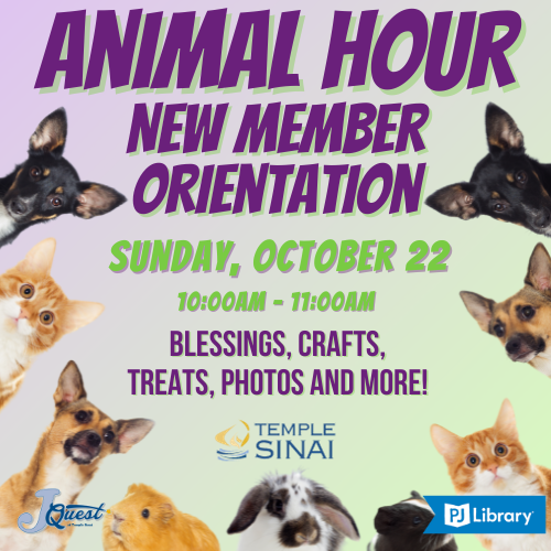 Banner Image for Animal Hour